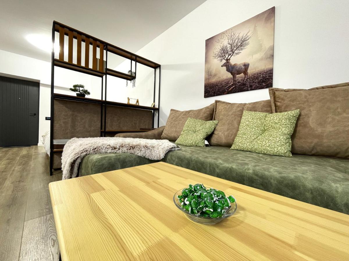 Cozy Bliss In W. Free Parking Apartament Sinaia