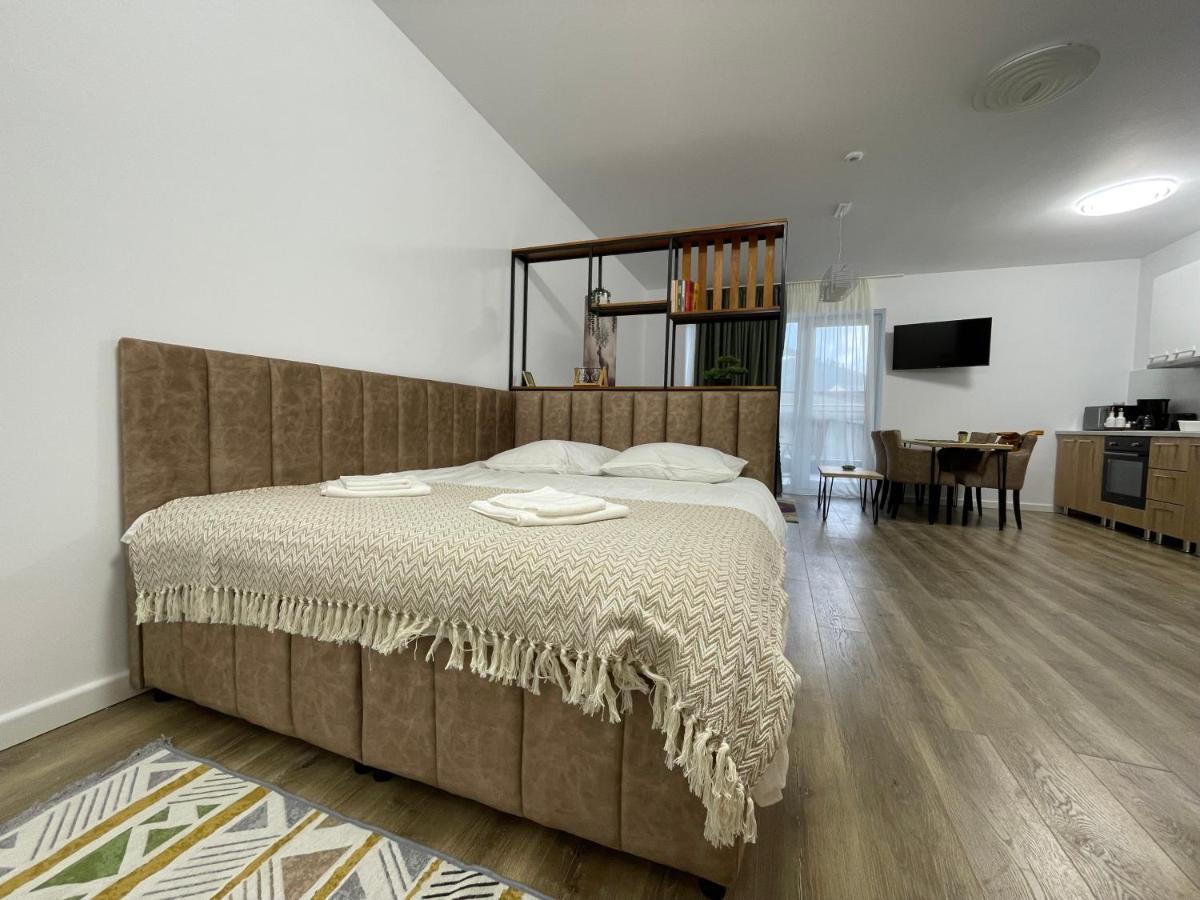 Apartament Cozy Bliss In W. Free Parking